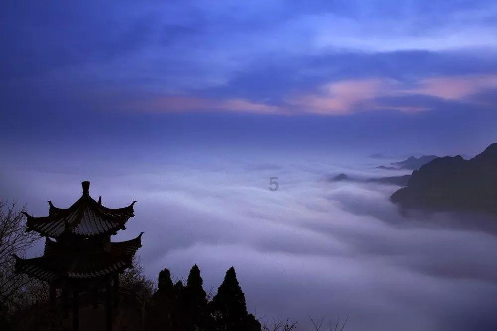 中兴+吴京,友商终于绷不住了。