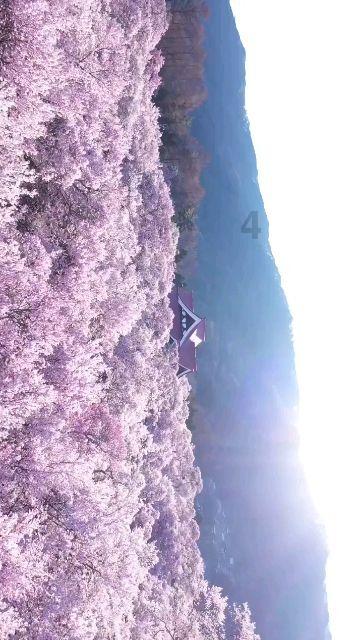 儿童雾化后，有哪些需要注意？游戏画面