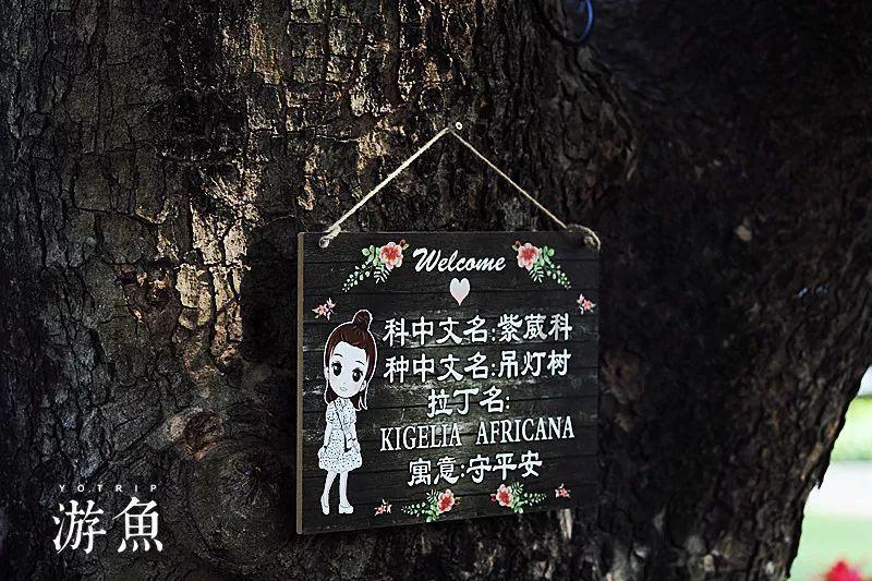 彩虹轨迹