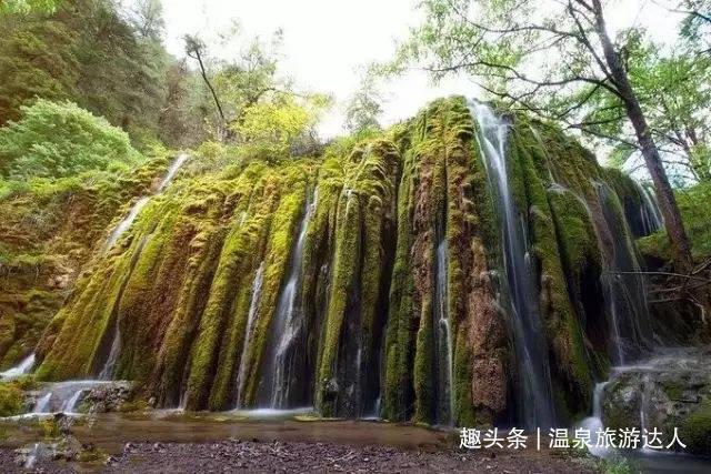 逃离荒废丛林屋