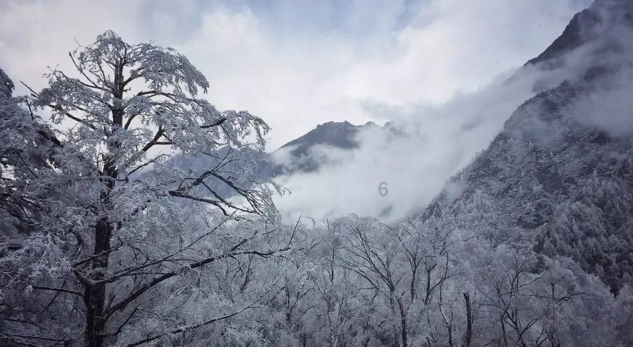 海滩棚屋逃生