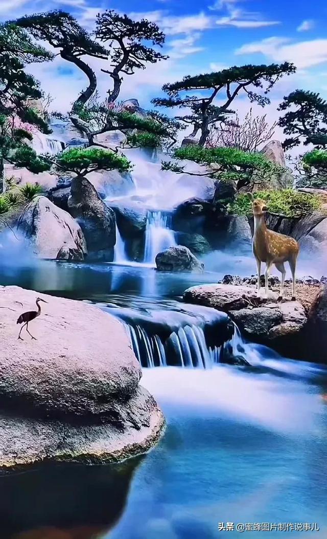 收集星星的高吉