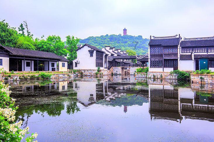 种养循环让小庭院变成“聚宝盆”