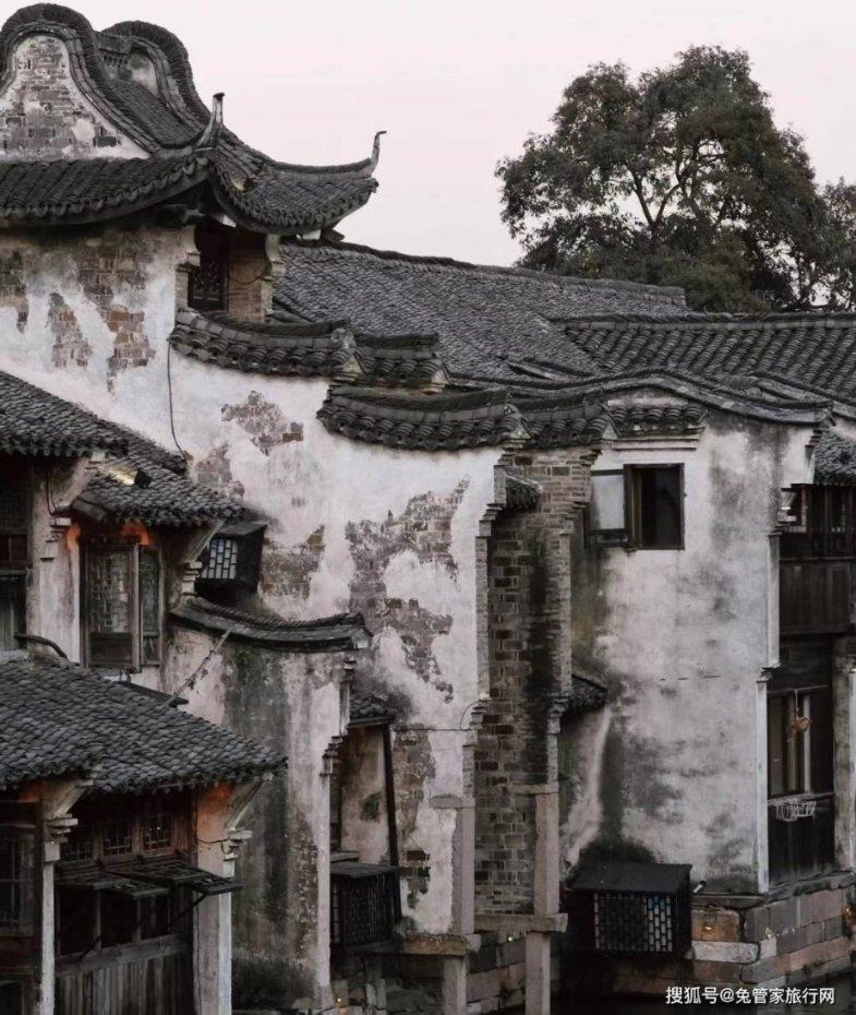 植物大战僵尸6